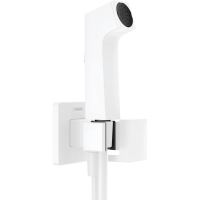 Гигиенический набор Hansgrohe Bidette 1jet E 29231700