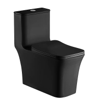 Унитаз компакт Azario Gressa AZ-1111MB напольный, безободковый, с бачком и сиденьем микролифт, 70.5х37х76 см, черный матовый