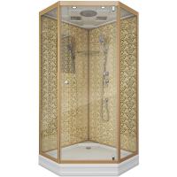 Душевая кабина Niagara Luxe 90x90 NG-7701DG без гидромассажа