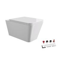 Подвесной унитаз Alice Hide Square 31210101SET безободковый, с сиденьем и крышкой с микролифтом, цвет белый глянцевый