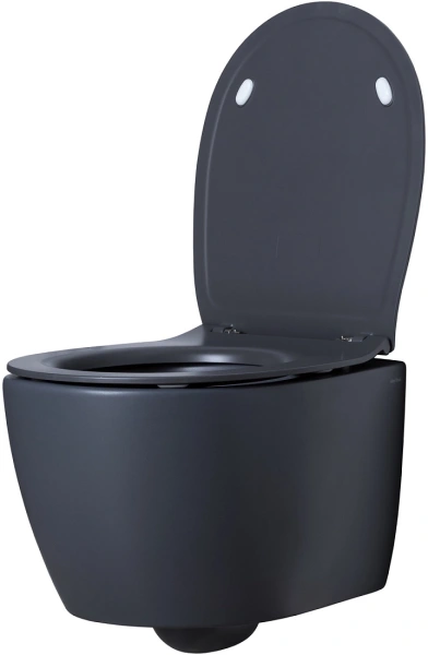 унитаз подвесной allen brau fantasy 4.11004.an безободковый, без сиденья, цвет антрацит
