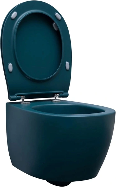 унитаз allen brau fantasy 4.11004.pt подвесной, безободковый, без сиденья, 51x36.3 см, петроль