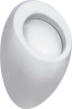 Писсуар подвесной Laufen Alessi 8.4097.5.400.000.1, без крышки, без "мухи"