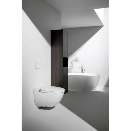 унитаз-биде подвесной laufen cleanet riva 8.2069.1.400.000.1