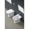 унитаз cerutti spa vettore f ct7841 приставной с сиденьем микролифт