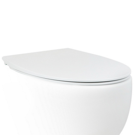 Сиденье для унитаза AeT Dot 2.0 C555R100 c микролифтом SoftClose, цвет белый