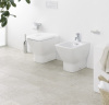 сиденье для унитаза laufen palace (softclose) 8.9170.1.300.000.1 петли хром