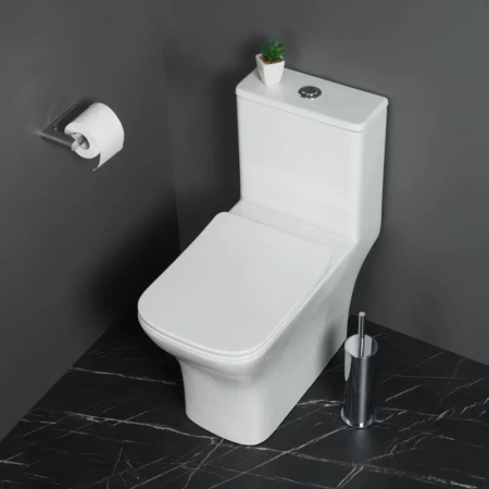 унитаз-моноблок belbagno neon bb8617cpr-mn/sc безободковый с сиденьем микролифт.