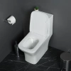 унитаз-моноблок belbagno neon bb8617cpr-mn/sc безободковый с сиденьем микролифт.