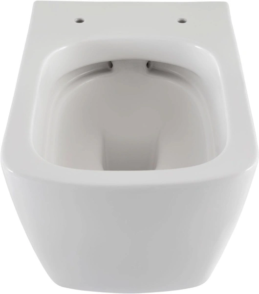 унитаз подвесной allen brau liberty 4.33004.20 безободковый, без сиденья, цвет белый