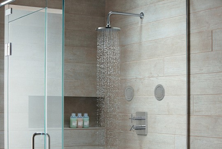 душевая форсунка jacob delafon watertile e8014-cp