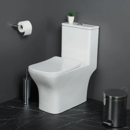 унитаз-моноблок belbagno neon bb8617cpr-mn/sc безободковый с сиденьем микролифт.