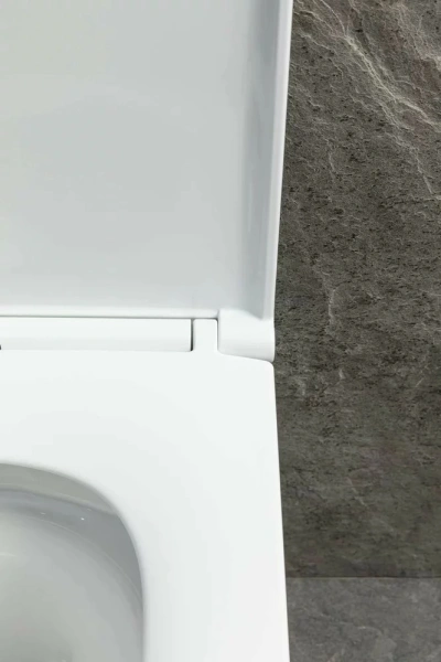 унитаз подвесной allen brau priority tornado 4.31009.20 белый глянец