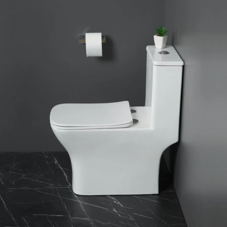 унитаз-моноблок belbagno neon bb8617cpr-mn/sc безободковый с сиденьем микролифт.