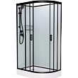Душевая кабина 110x80x215 см Frank F411L Black 114004 прозрачное