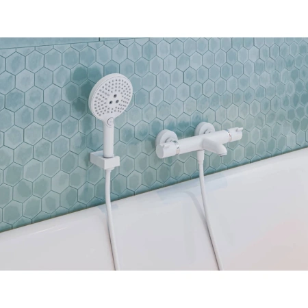 душевая лейка hansgrohe raindance select s 120 3jet ecosmart 26531700