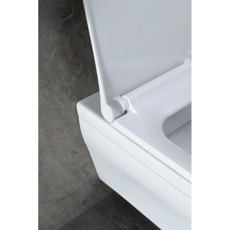 унитаз подвесной allen brau infinity 4.21011.20 безободковый, цвет белый