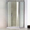 Душевой уголок Good Door Pandora PNT 100×100