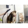 душевая лейка для собак hansgrohe dogshower 150 3jet 26640670