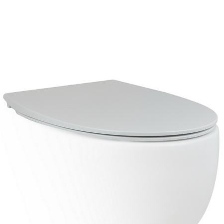 Сиденье для унитаза AeT Dot 2.0 C555R101 c микролифтом SoftClose, цвет белый матовый
